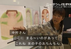 性视频日本,文化现象与产业生态解析