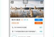 钓鱼直播91平台,乐享自然——揭秘91平台钓鱼直播的魅力